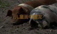 儿童画中国龙 